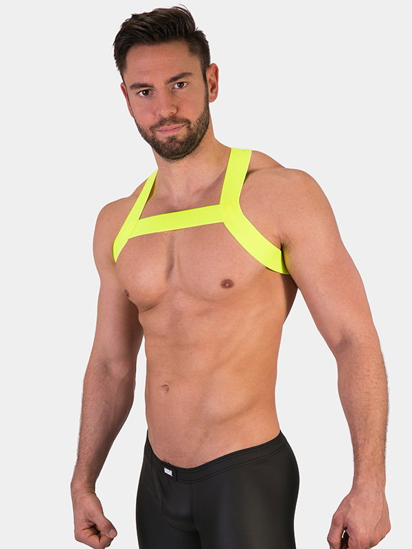 Harness Matt Harness Matt