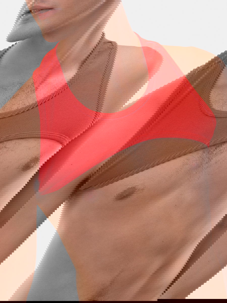 Harness Demu Harness Demu