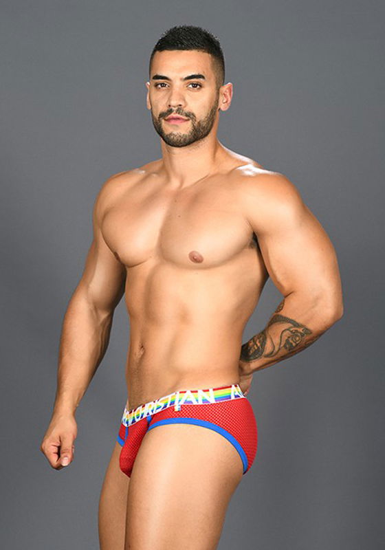Brunos \ Pride Fashion \ Andrew Christian \ Andrew Christian Pride Mesh Brief