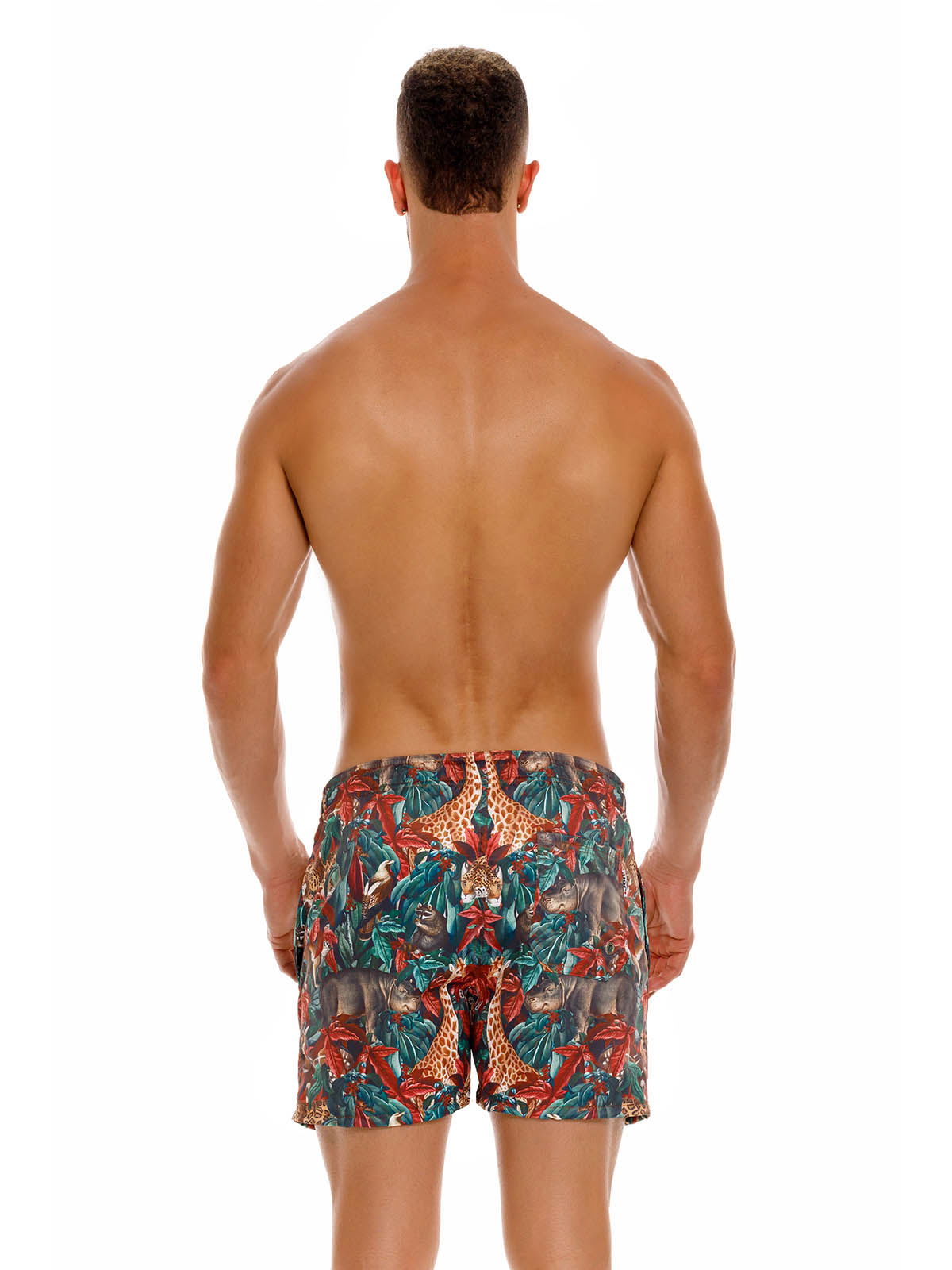 Brunos \ JOR \ JOR \  Short Savanna | Print