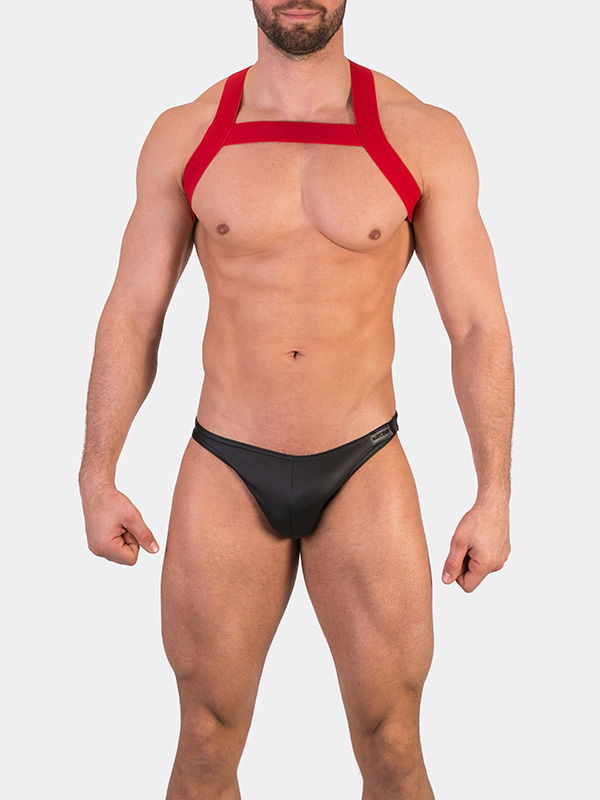Harness Matt Harness Matt