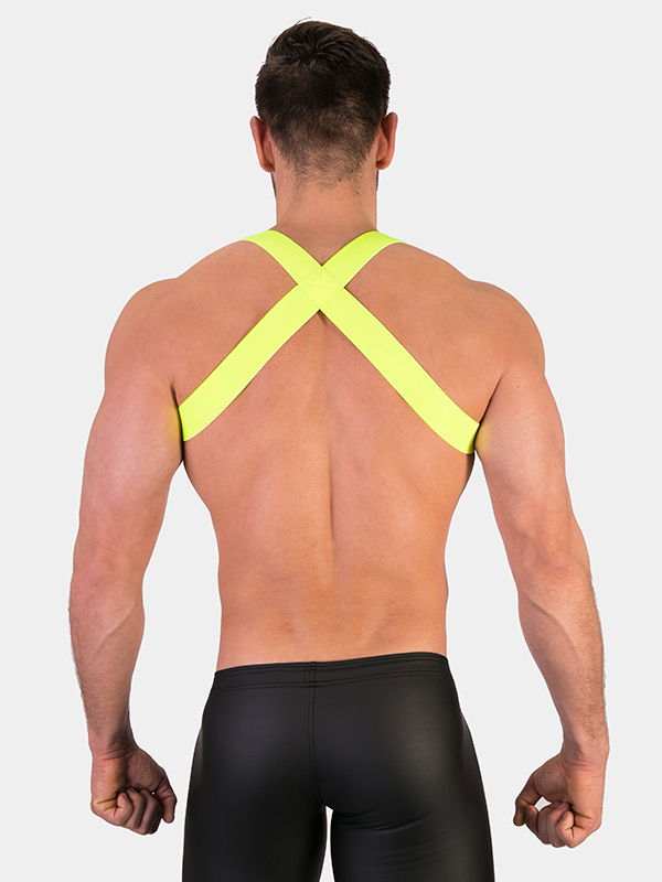 Harness Matt Harness Matt