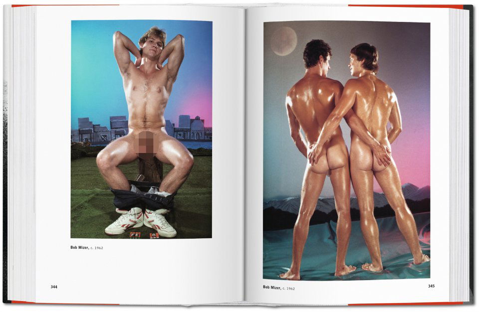 David Leddick | The Male Nude Brunos \ Erotische Literatur \ Taschen \ David Leddick | The Male Nude