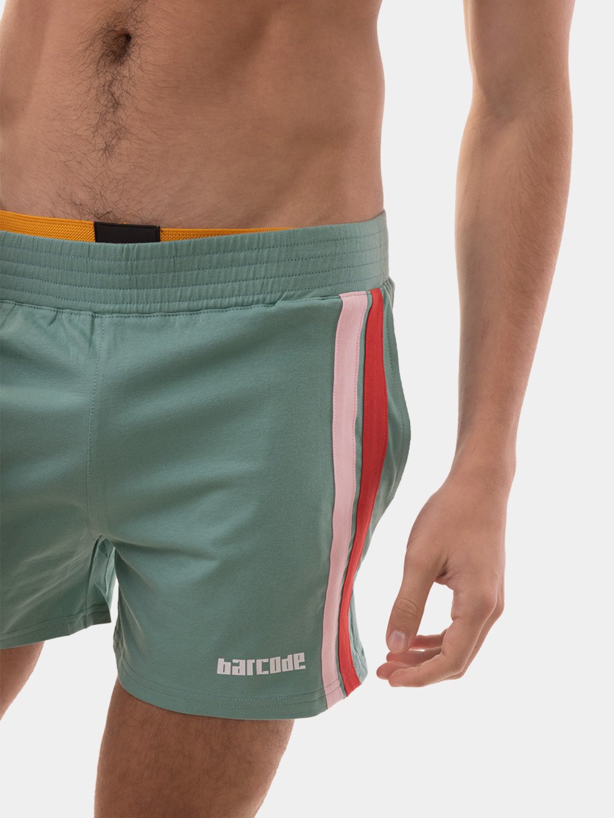 Brunos \ Fashion Sale \ Barcode Berlin \ Short Craig | Green-Red-Pink