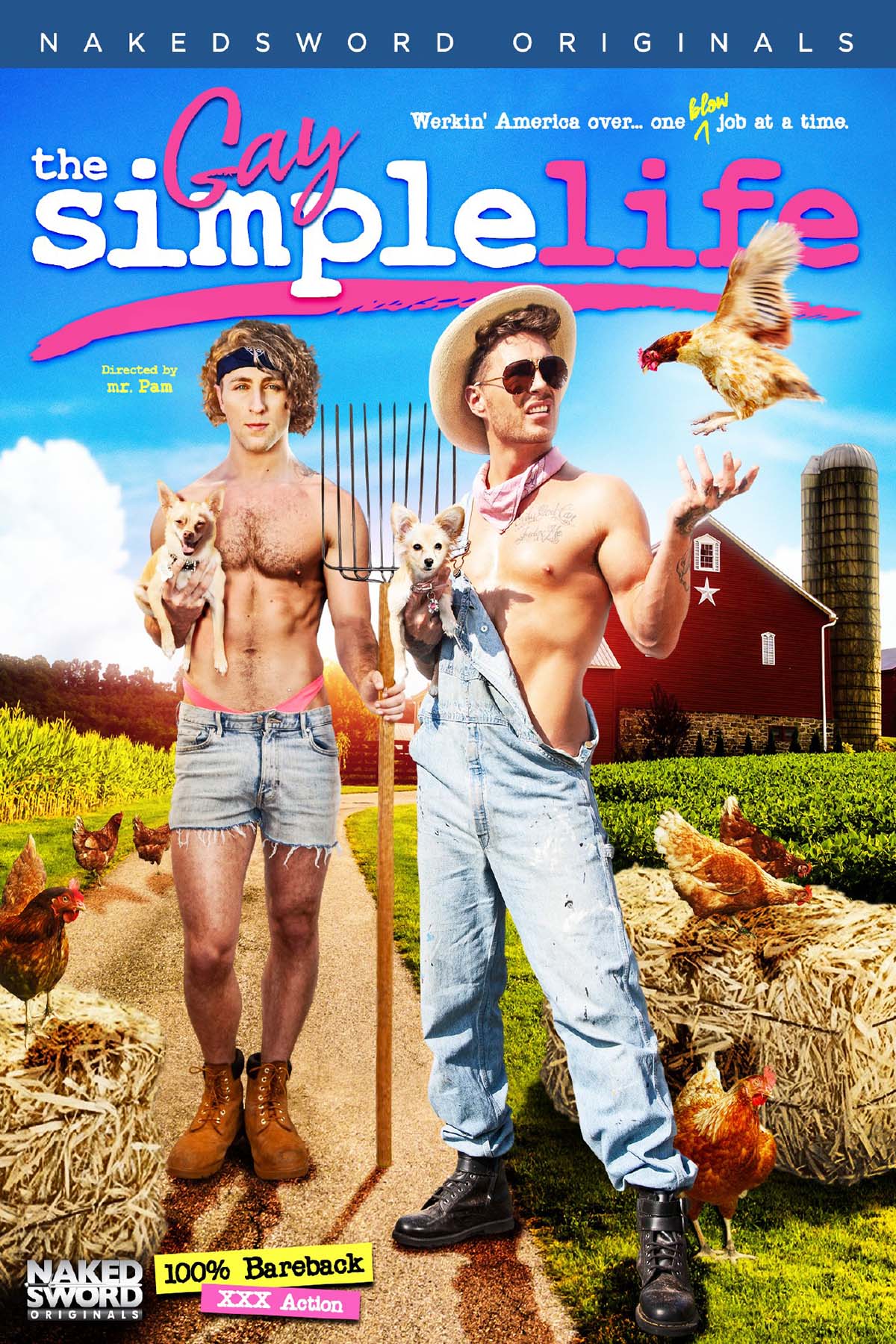 Brunos \ Porn DVD \ Naked Sword \ The Gay Simple Life | DVD