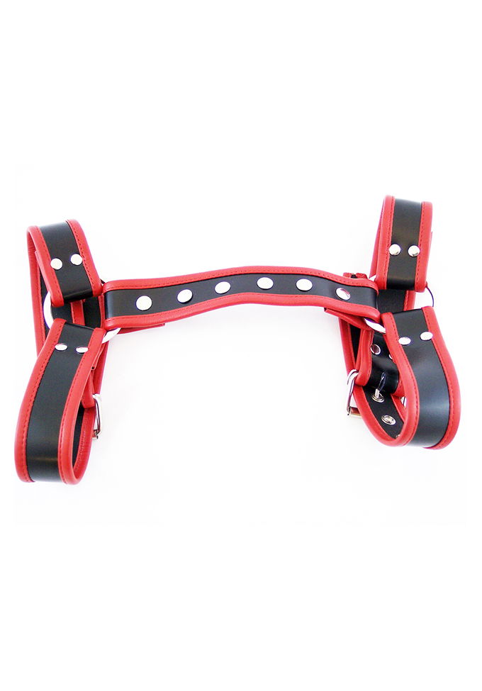 Halter H-Harness Echtleder | Black/Red