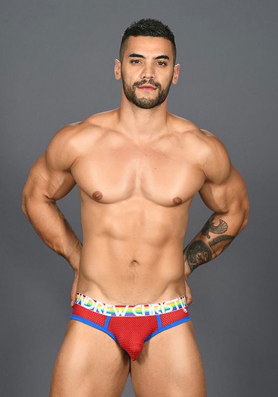 Brunos \ Pride Fashion \ Andrew Christian \ Andrew Christian Pride Mesh Brief