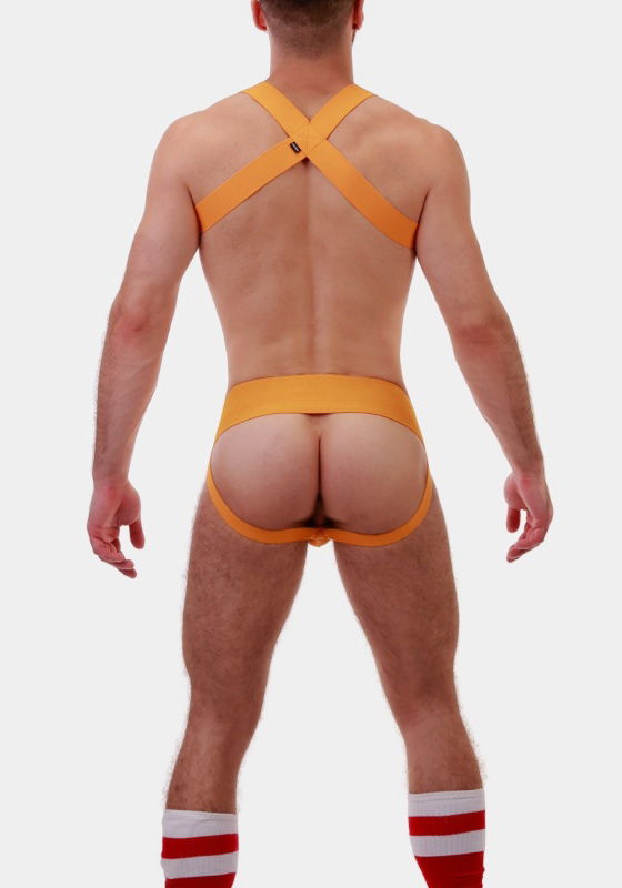Harness Matt Harness Matt