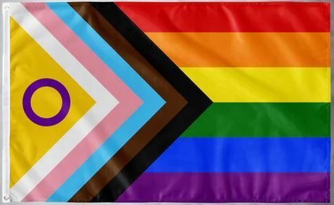 Regenbogen Flagge Progress Pride Inter 90 x 150 cm