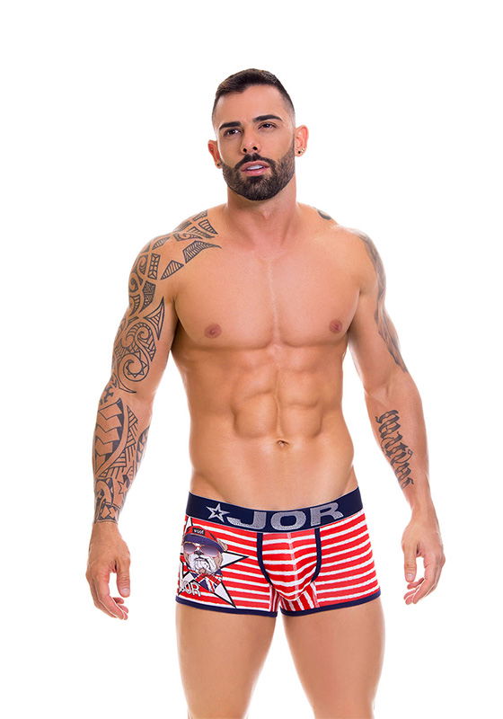 Brunos \ JOR \ JOR \ Boxer Frankie | Print