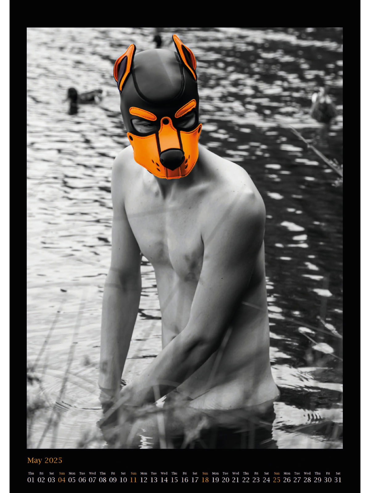 Brunos \  \ ProjectY \ Kink | Kalender 2025