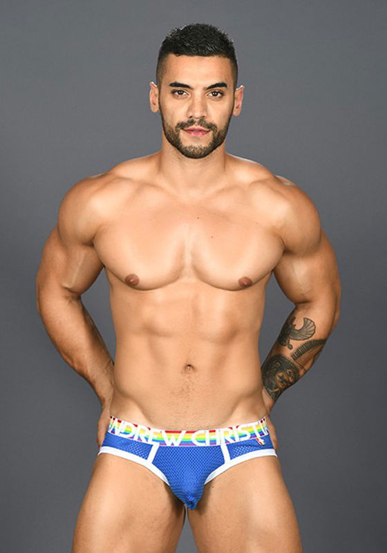 Brunos \ Pride Fashion \ Andrew Christian \ Andrew Christian Pride Mesh Brief