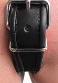 Leder Halter Harness Leder Halter Harness