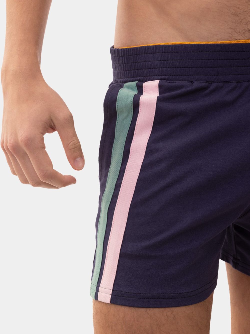 Brunos \ Fashion Sale \ Barcode Berlin \ Short Craig | Navy-Green-Pink