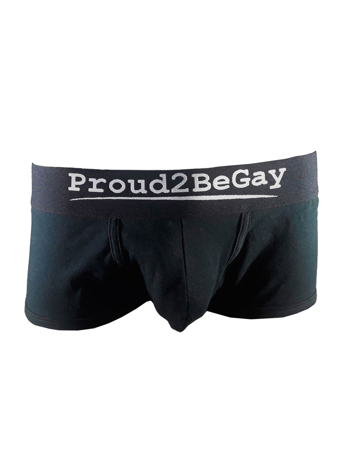 Brunos \ Boxer | Trunks \ Proud2begay \ Trunk | Black