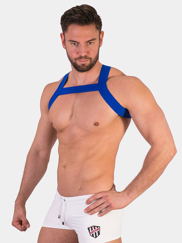 Harness Matt Harness Matt