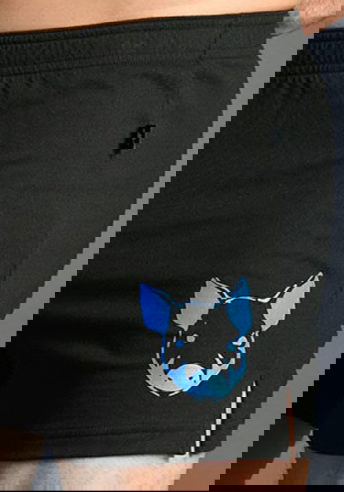 Brunos \ Shorts | Pants \ Andrew Christian \ Andrew Christian Pig Retro Shorts