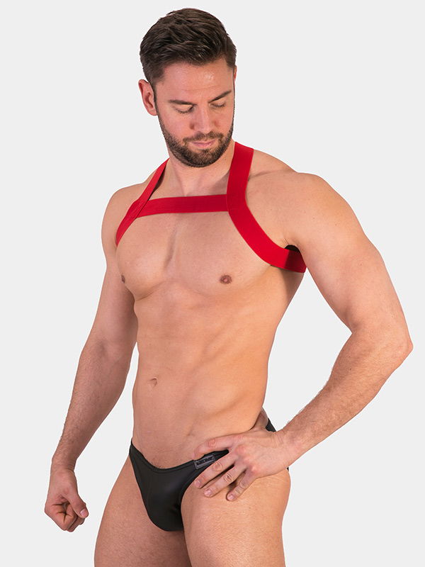 Harness Matt Harness Matt