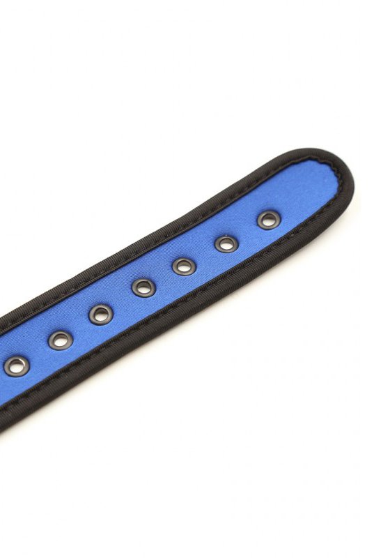 Neopren Puppy Halsband | Blau
