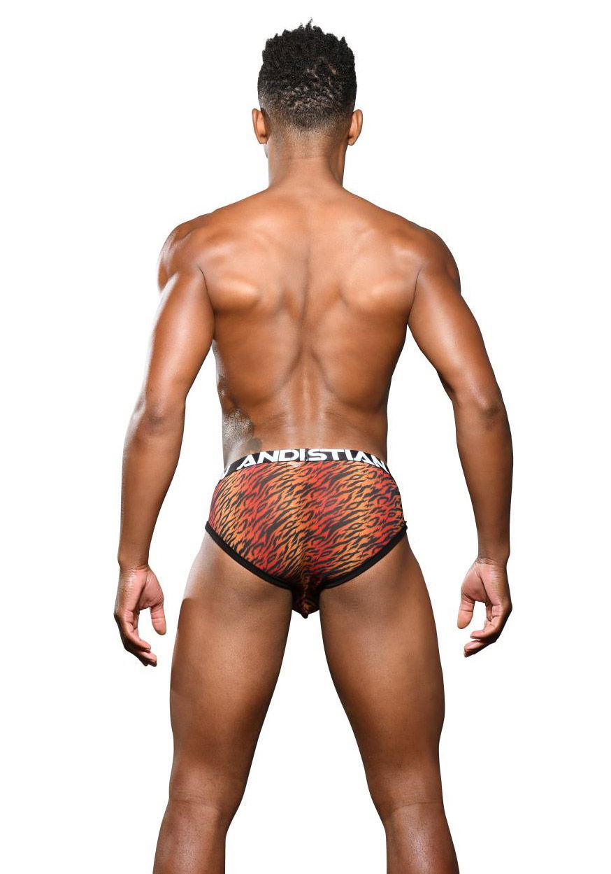 Brunos \ Briefs | Slips \ Andrew Christian \ Andrew Christian Sheer Tiger Brief Almost Naked