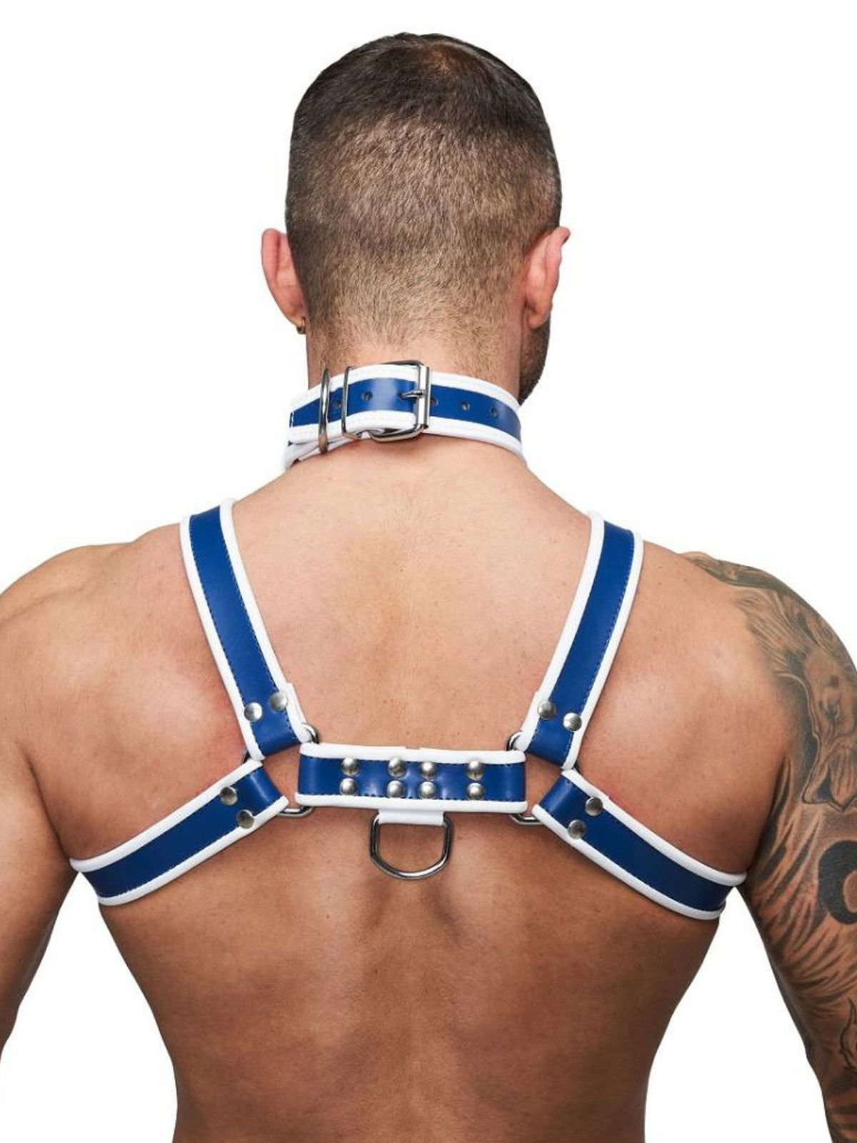Brunos \ Mister B \ Mister B \ Halsband Leder Circuit | Blue/White