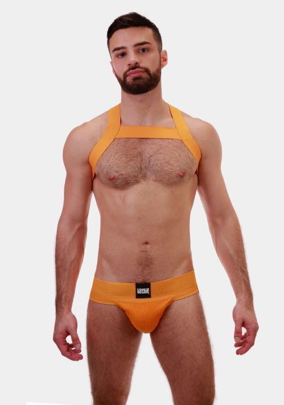 Harness Matt Harness Matt