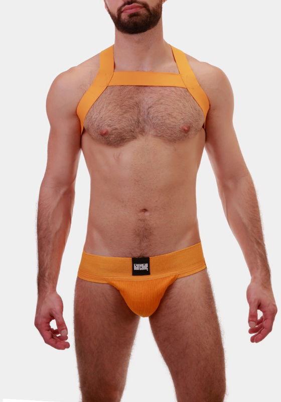 Harness Matt Harness Matt