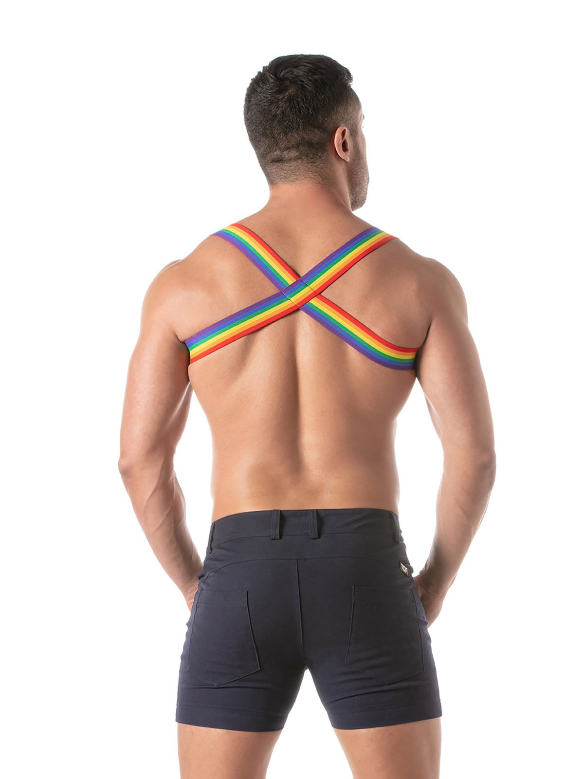 Shoulder Harness | Rainbow