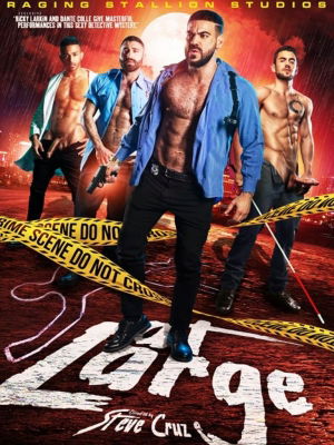 Brunos \  \ Raging Stallion \ At Large (DVD)