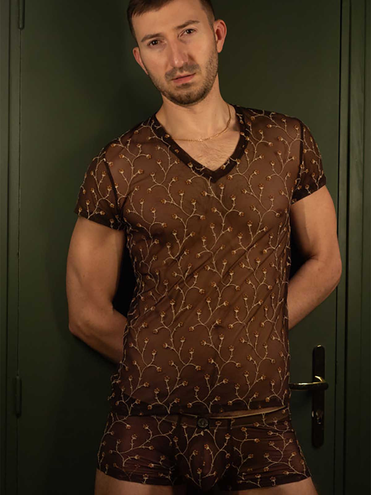 Brunos \ T-Shirts \  \ V-Neck Shirt Viorne | Brown