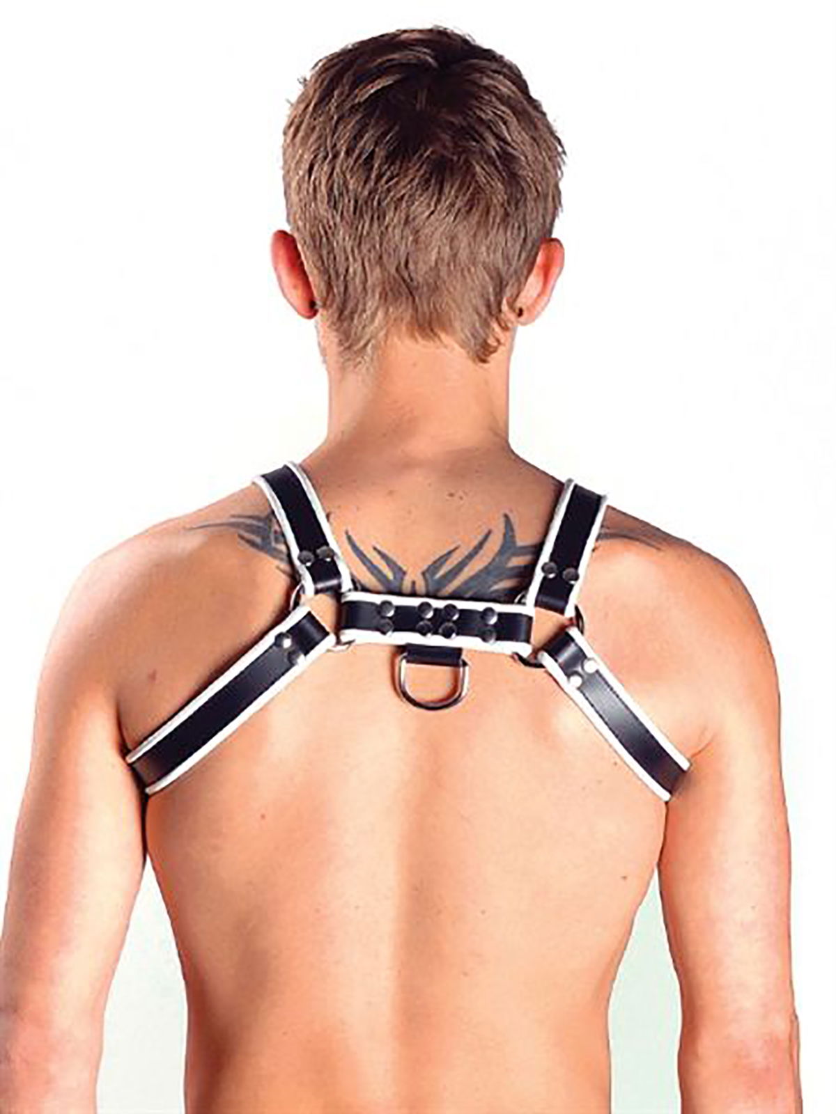 Brunos \ Mister B \ Mister B \ Leather Chest Harness | Black/White