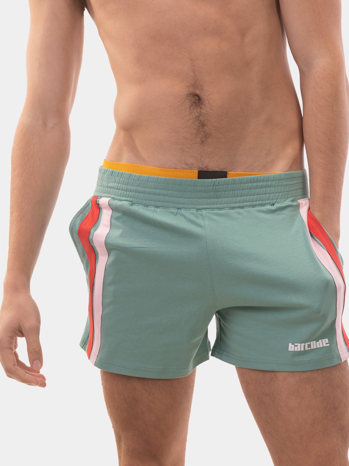 Brunos \ Fashion Sale \ Barcode Berlin \ Short Craig | Green-Red-Pink